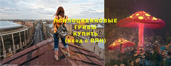 гидра Краснотурьинск