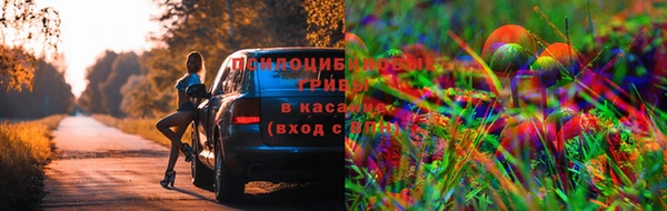 MDMA Бородино